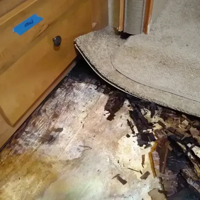 Wood Floor Water Damage in Hinsdale, IL